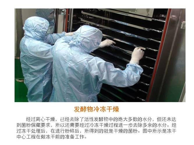 区金川工业园区主要从事益生菌原料及制剂的研发与产业化推广